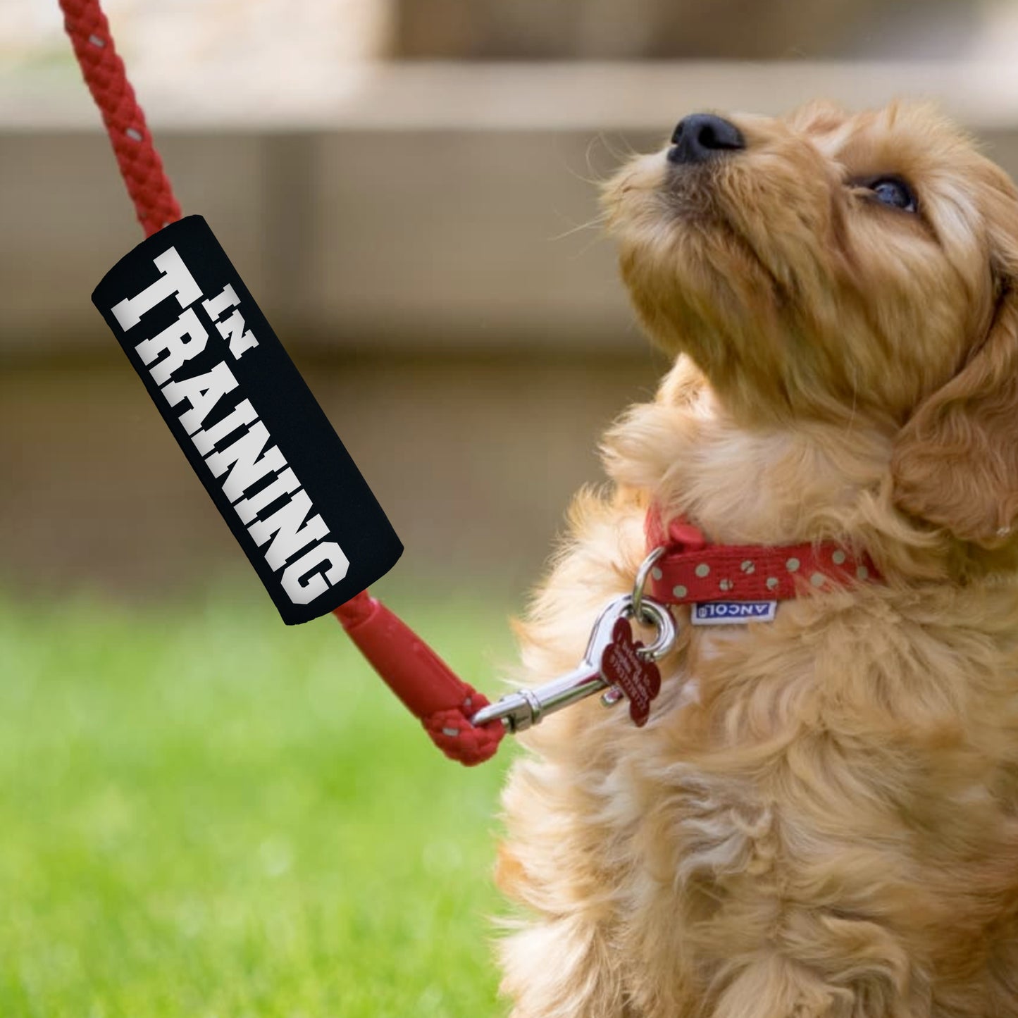 IN TRAINING Grip