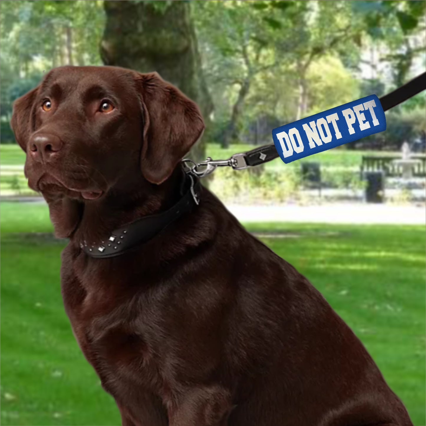 HI-VIS DO NOT PET Grip