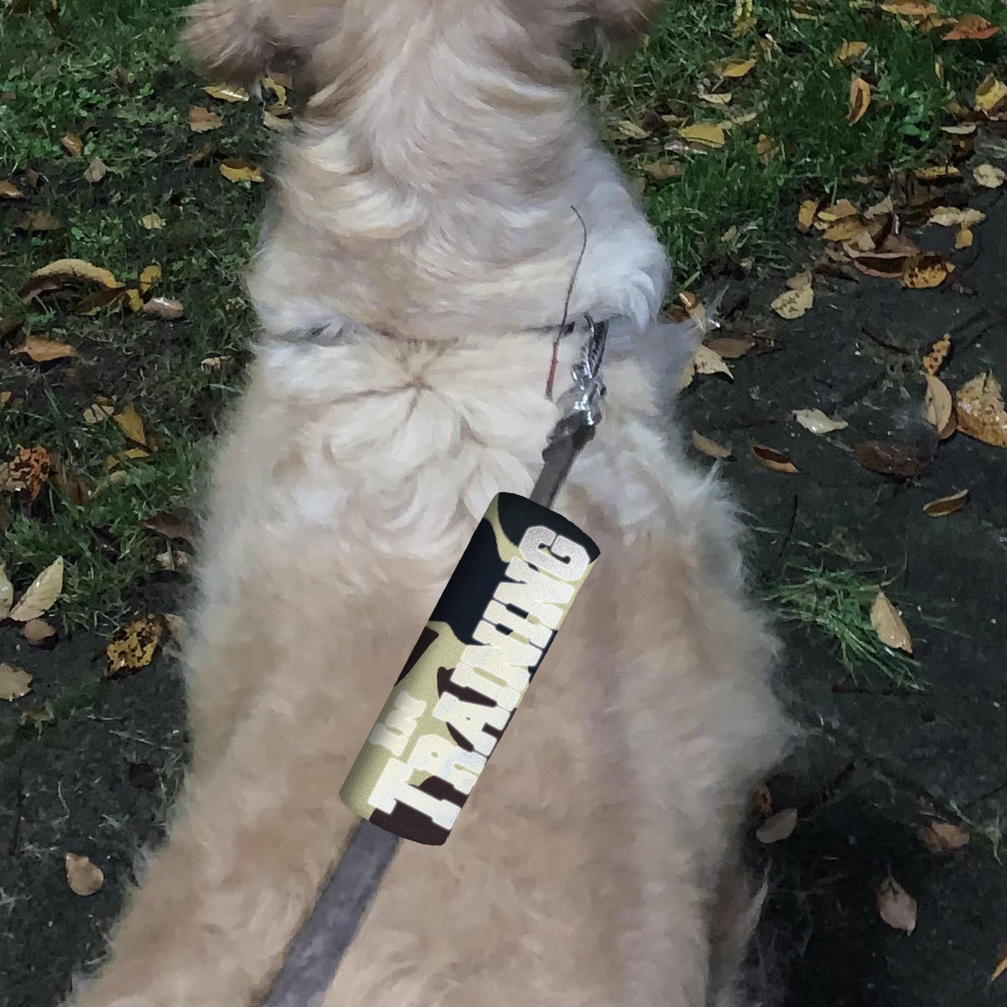 HI-VIS IN TRAINING Grip