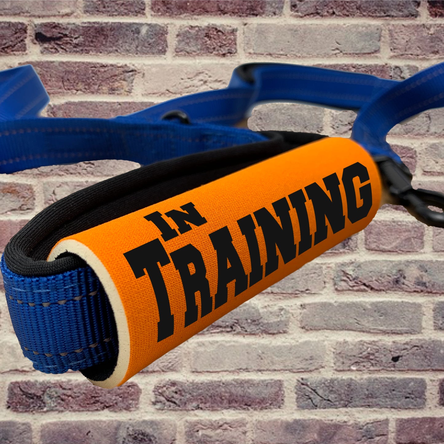 IN TRAINING Grip