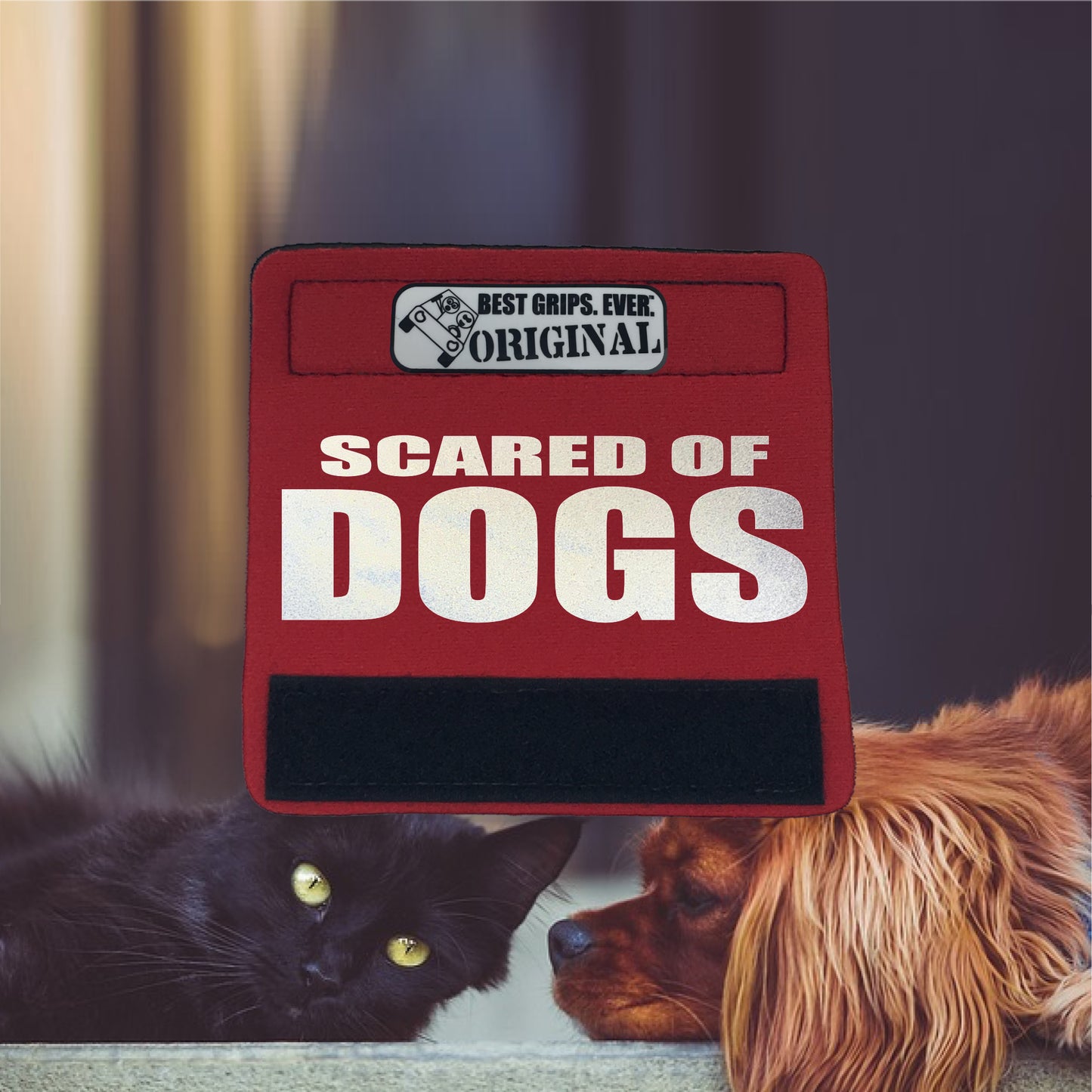 HI-VIS SCARED of DOGS Grip